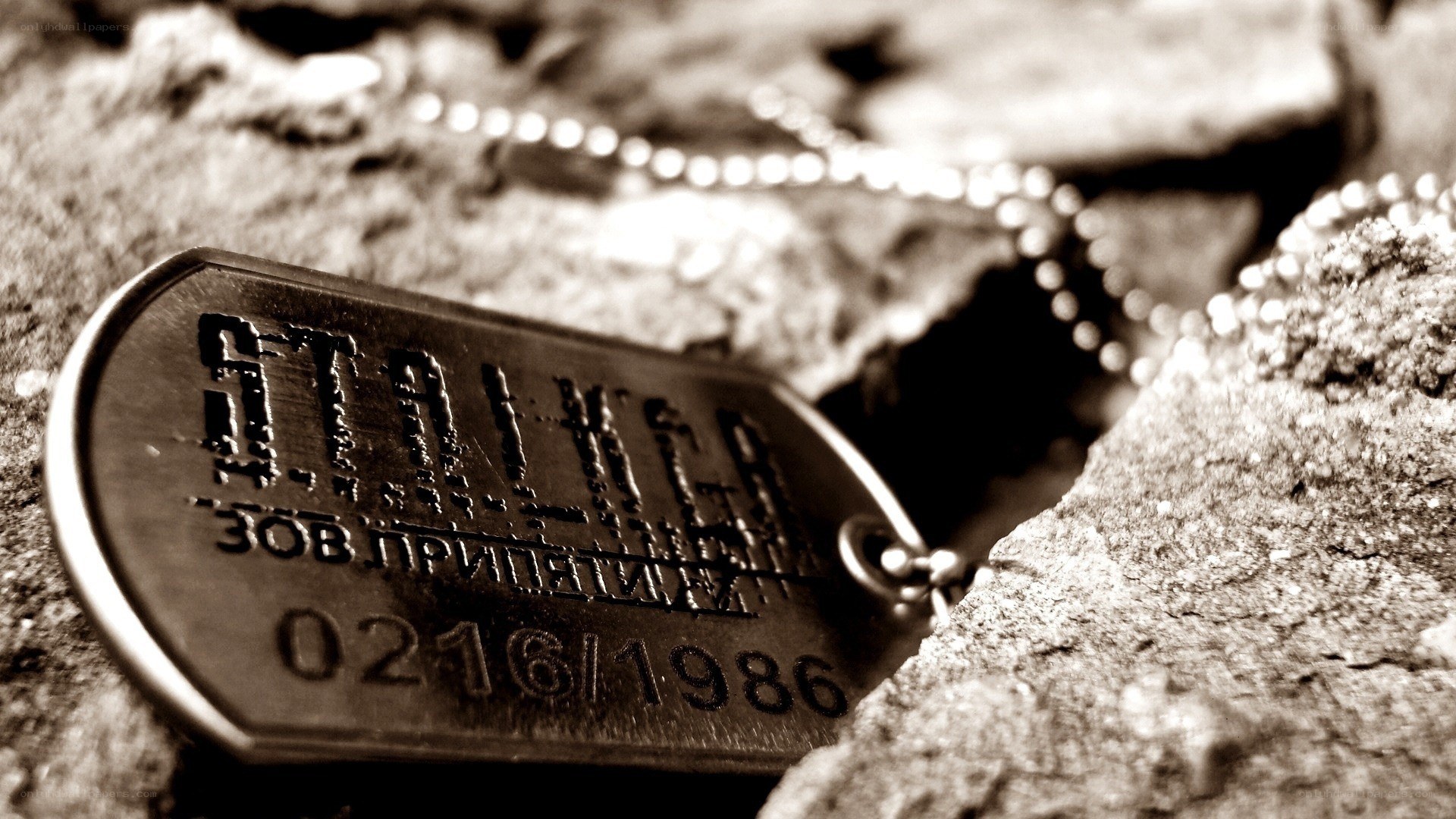 dog tag on rocky surface