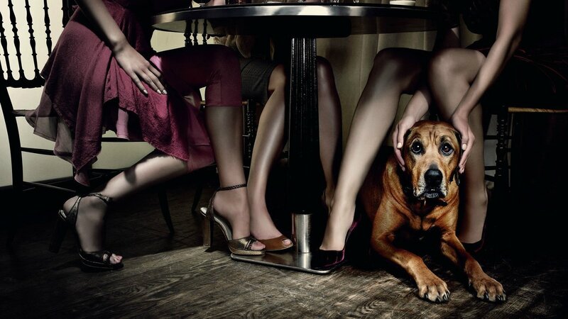 Dog under a table with women