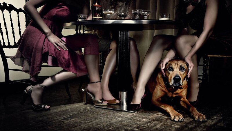 Dog under a table with women