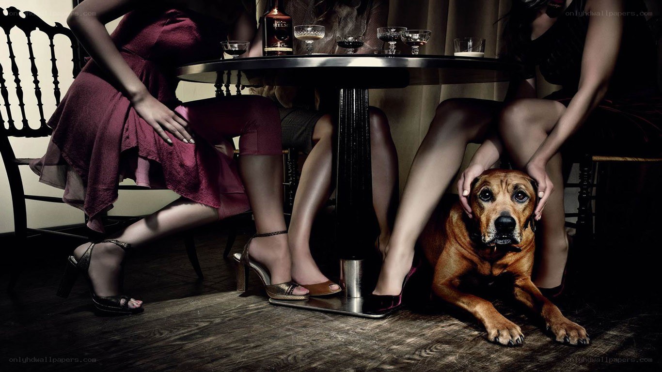 Dog under a table with women