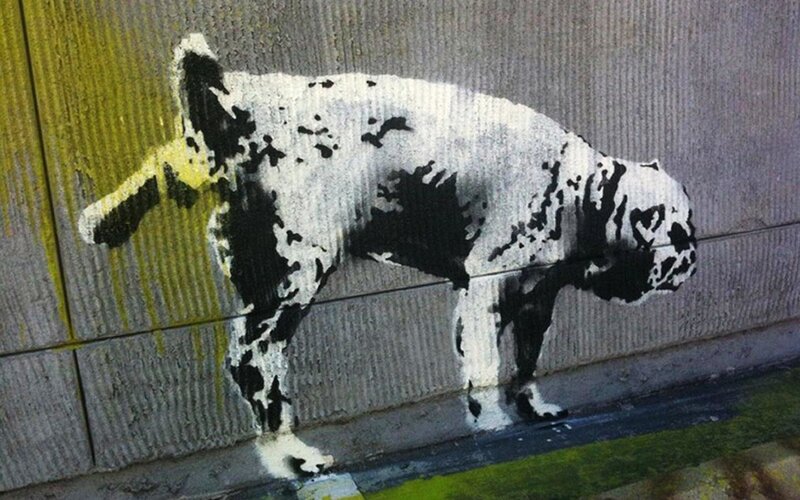 Dog Urinating on Wall