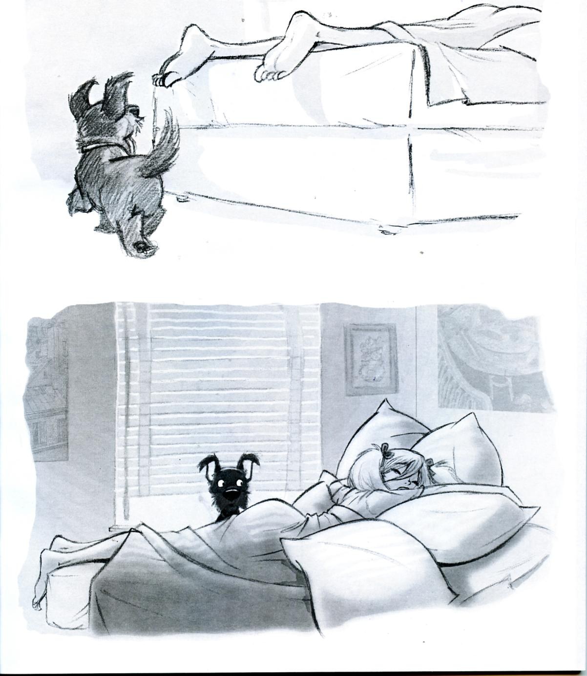dog waking up a sleeper