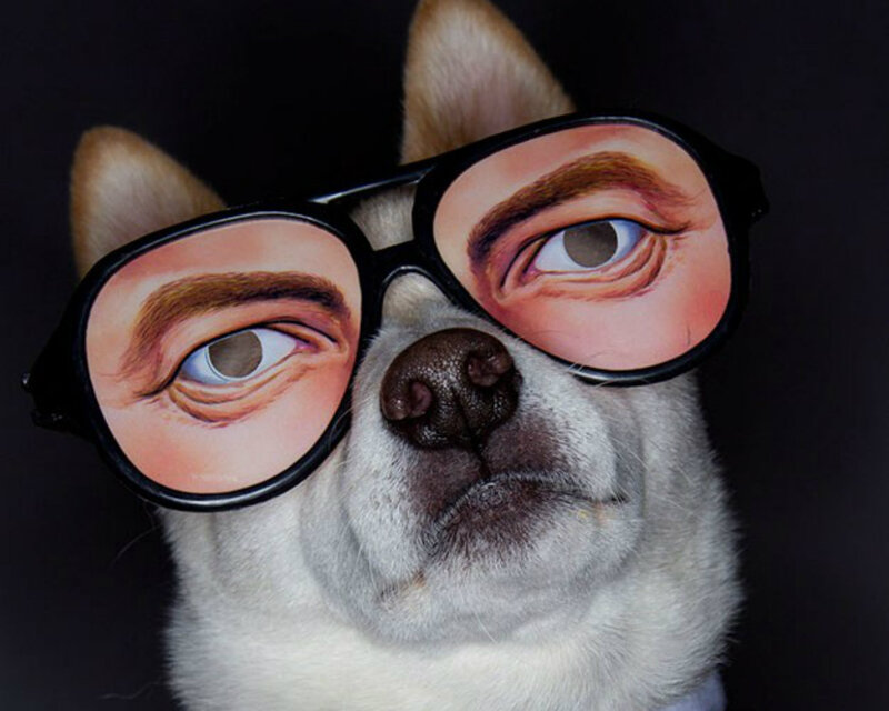 Dog Wearing Glasses — Black, Humorous