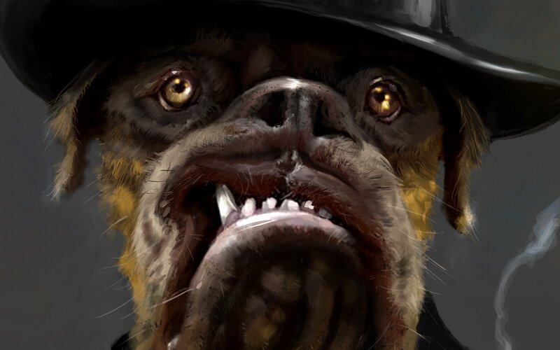 Dog Wearing Hat — Gray