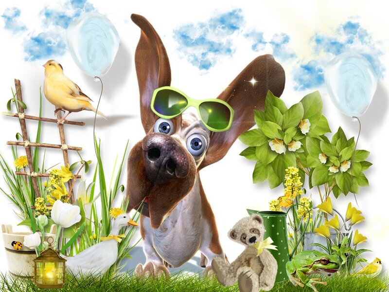 Dog Wearing Sunglasses — Green