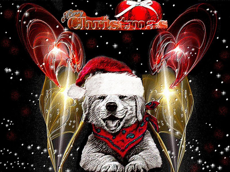 Dog with Angel Wings — Red