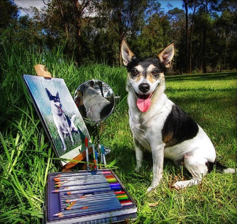 Dog with Art Supplies