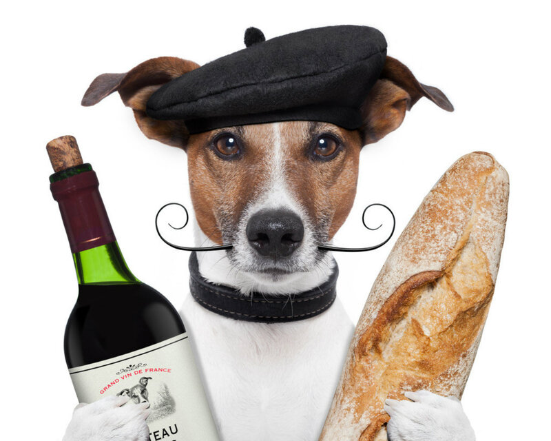 Dog with Beret and Bread