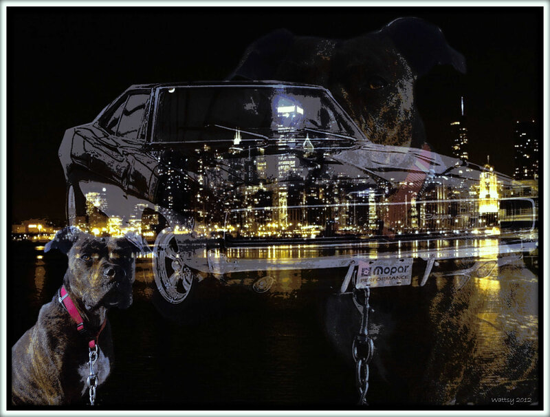 Dog with Car and City