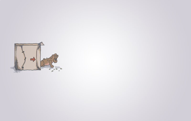 dog with cardboard box