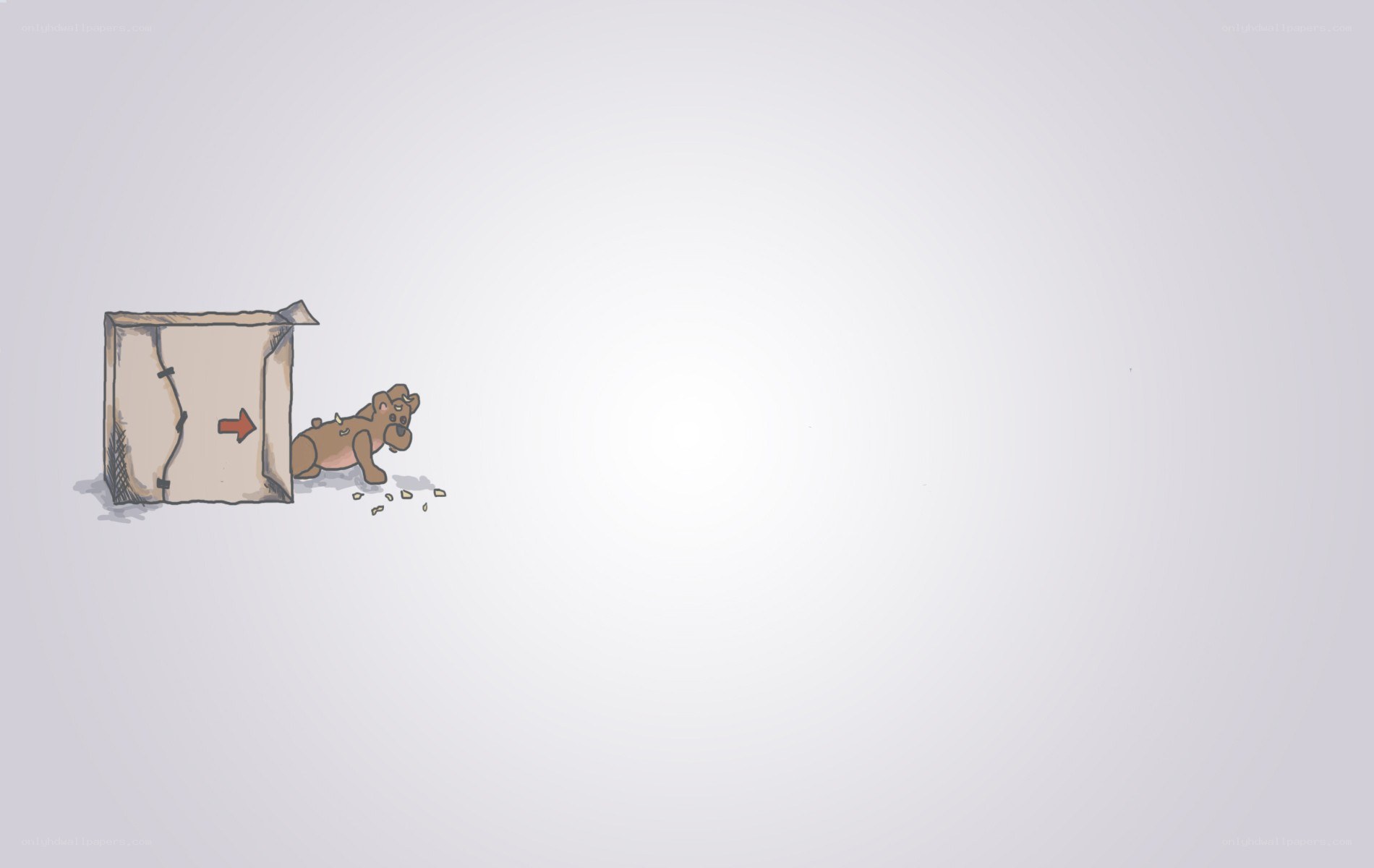 dog with cardboard box