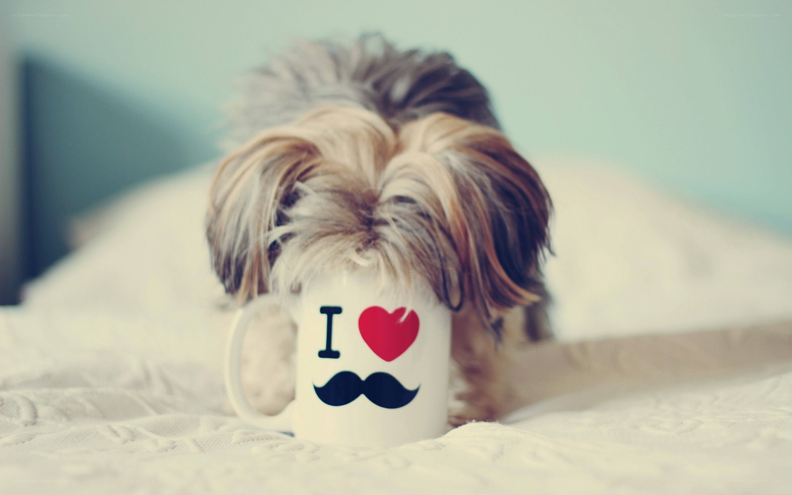 dog with coffee mug