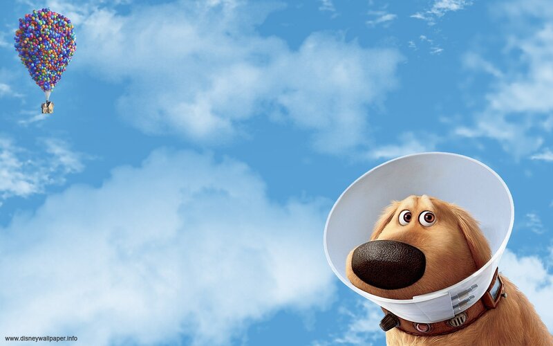 Dog with Cone Collar — Blue