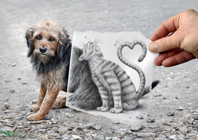 dog with drawing of cat