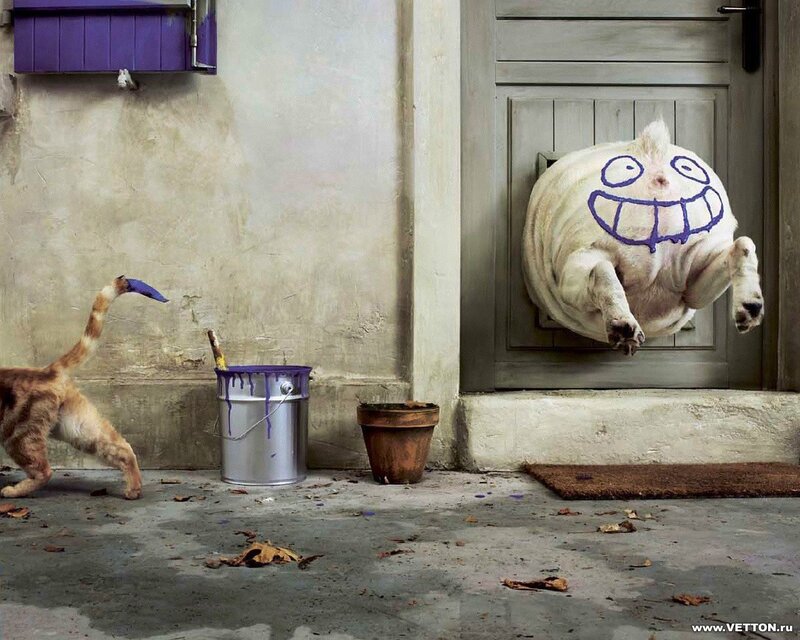 dog with drawn face on door
