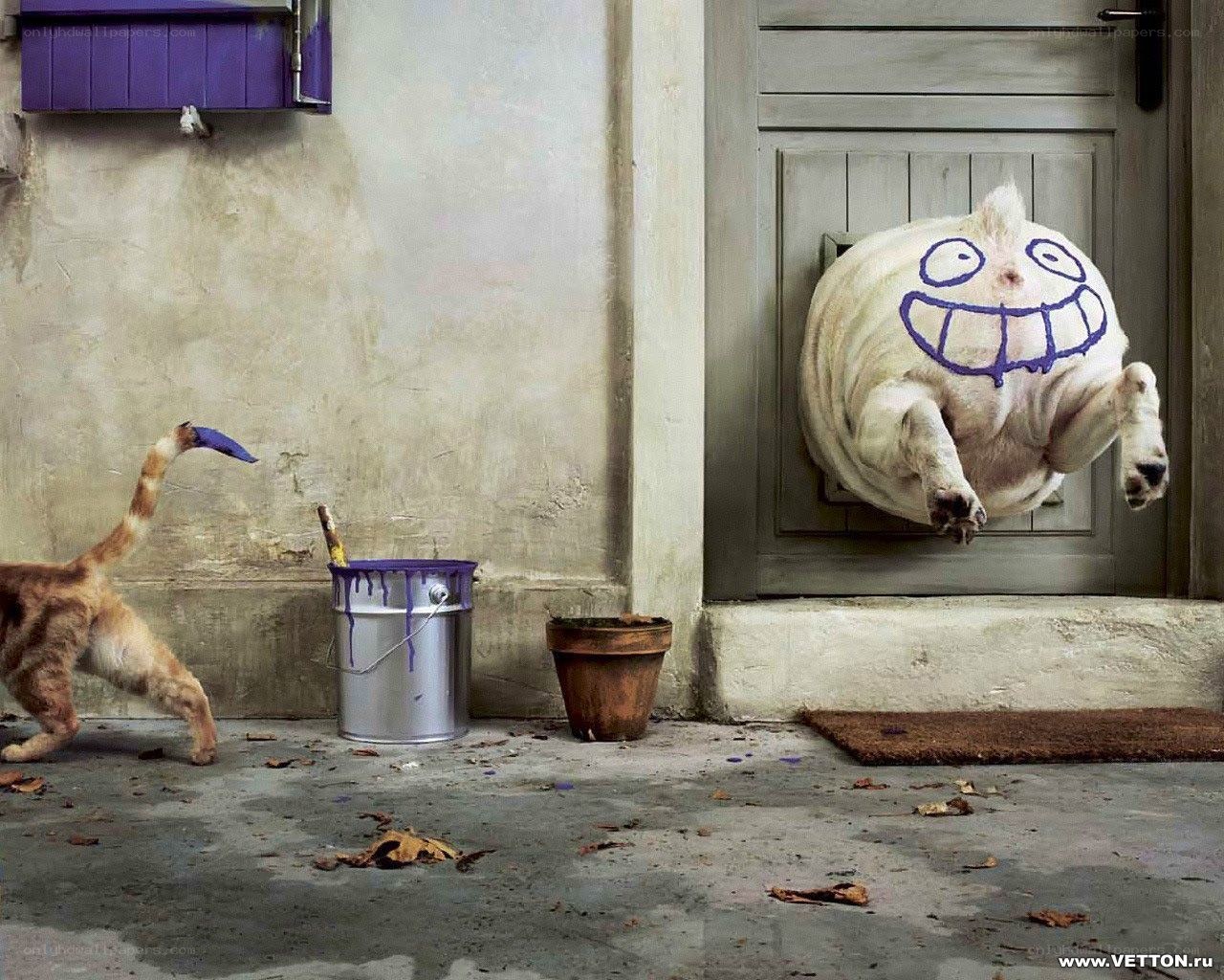 dog with drawn face on door