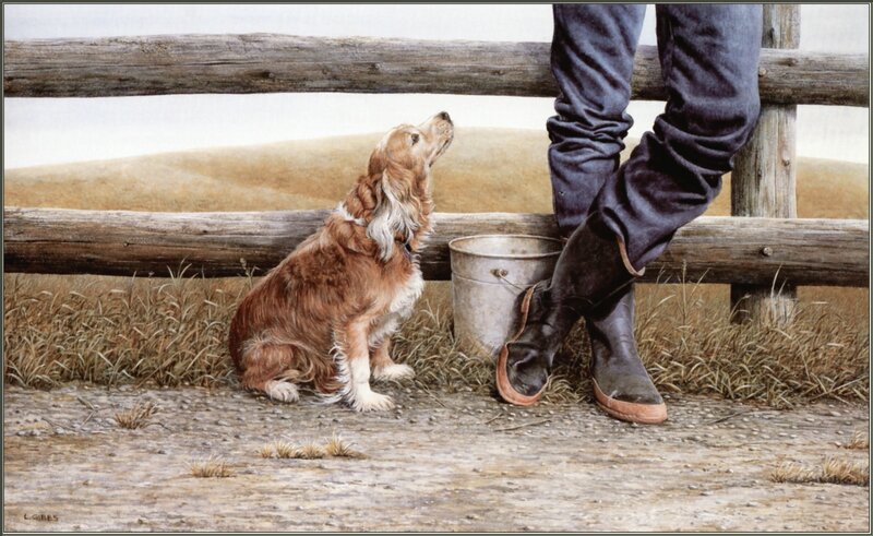dog with farmer by fence