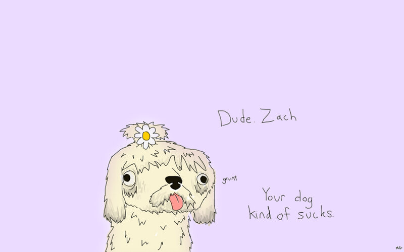 dog with flower on head