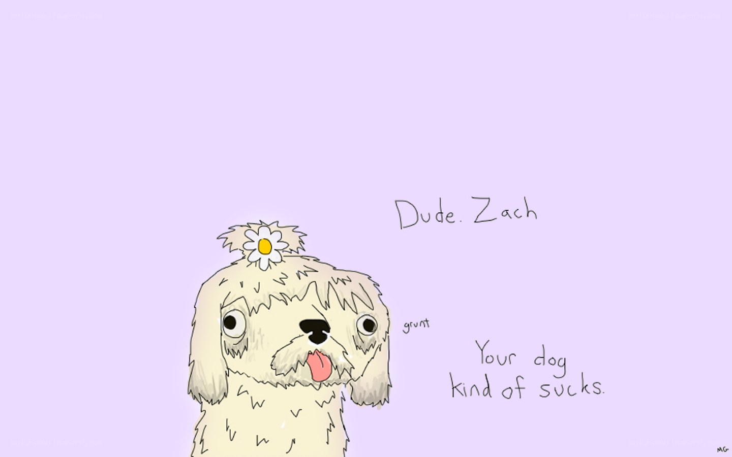 dog with flower on head