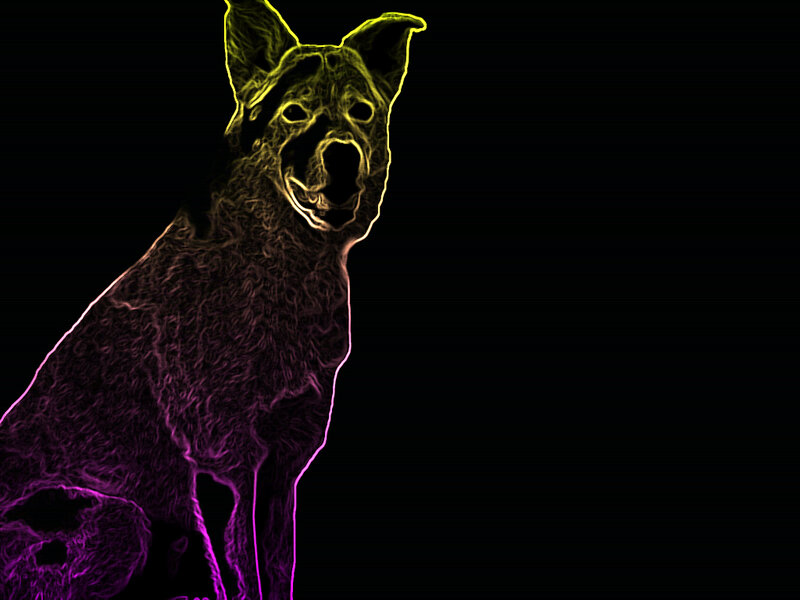 Dog with Glowing Outline — Yellow