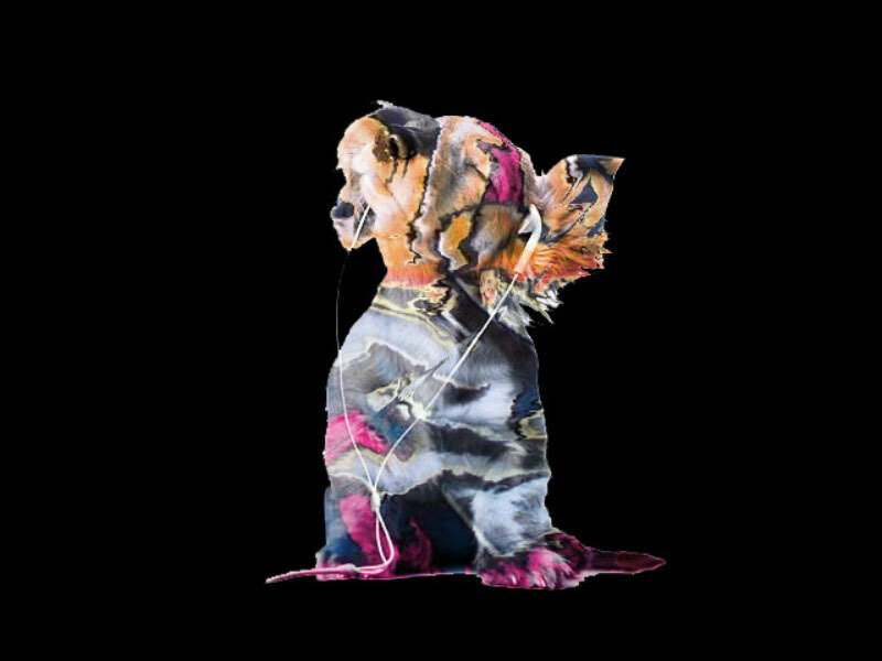 Dog with Headphones