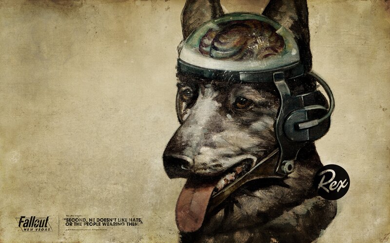 dog with helmet in fallout art