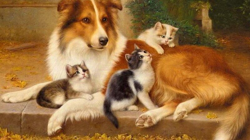Dog with Kittens — Brown, Calm