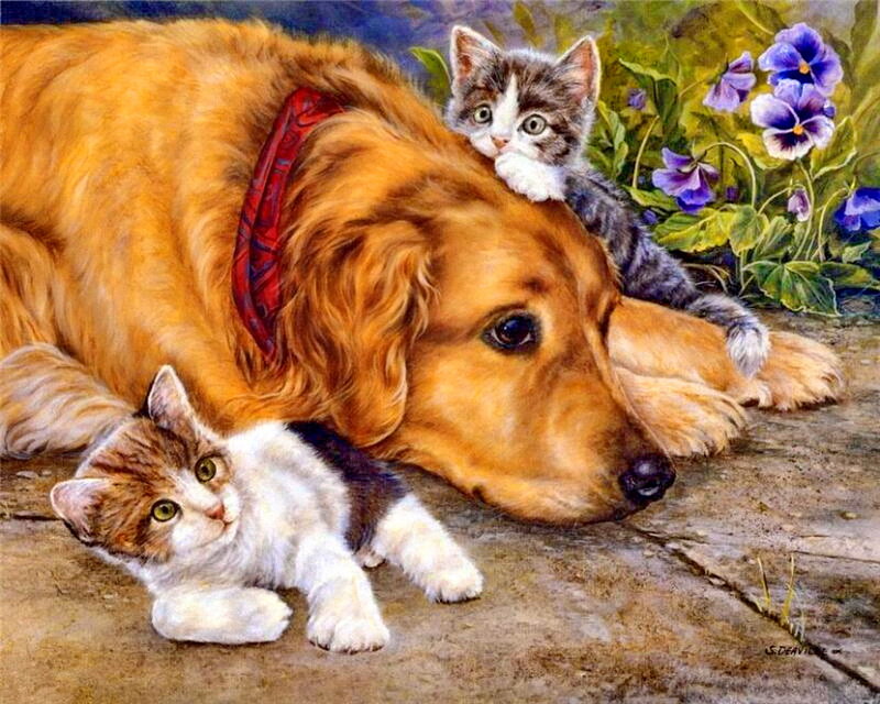 Dog with Kittens — Brown, Peaceful