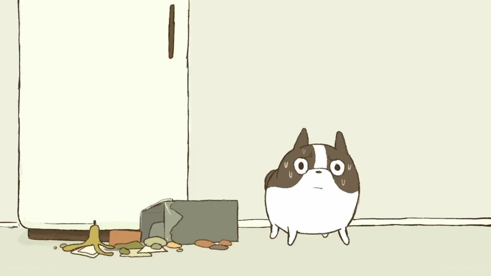 dog with messy room