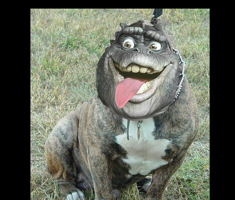 dog with monster head