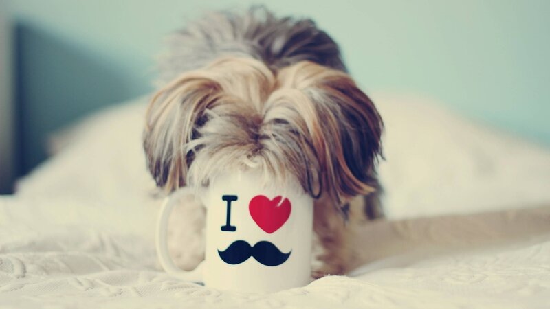 Dog with Mug — White
