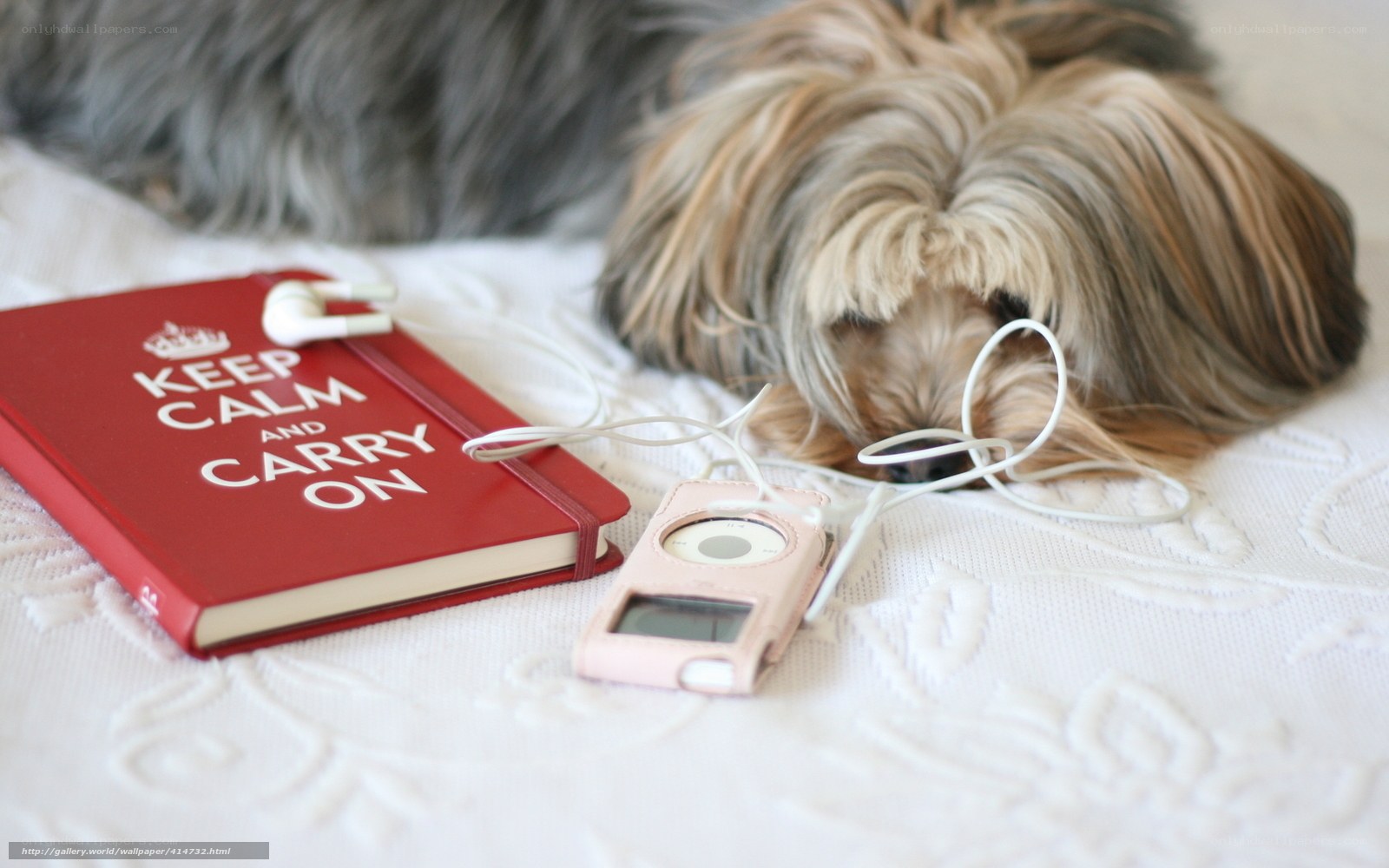 dog with notebook and mp3 player