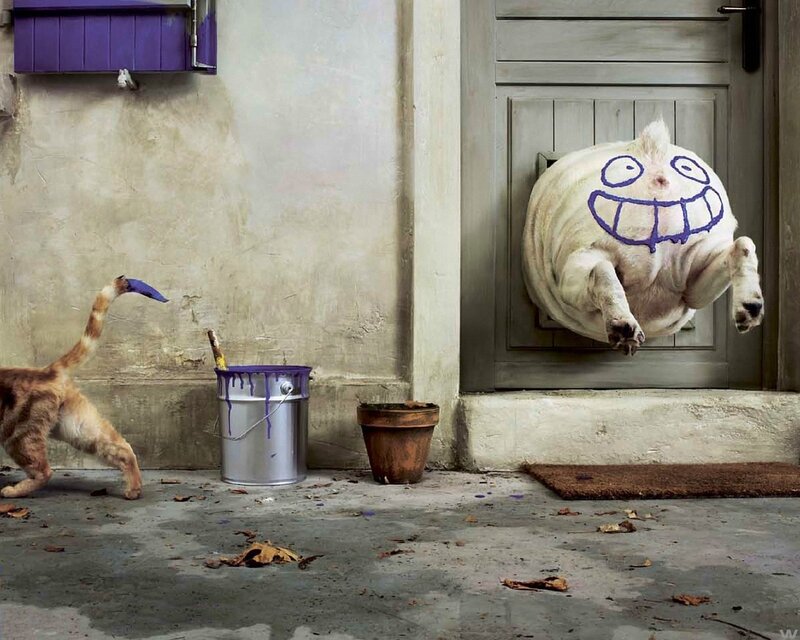dog with painted face