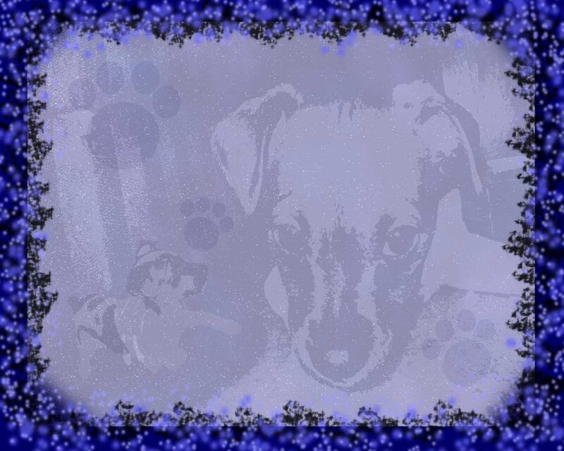 dog with paw prints background