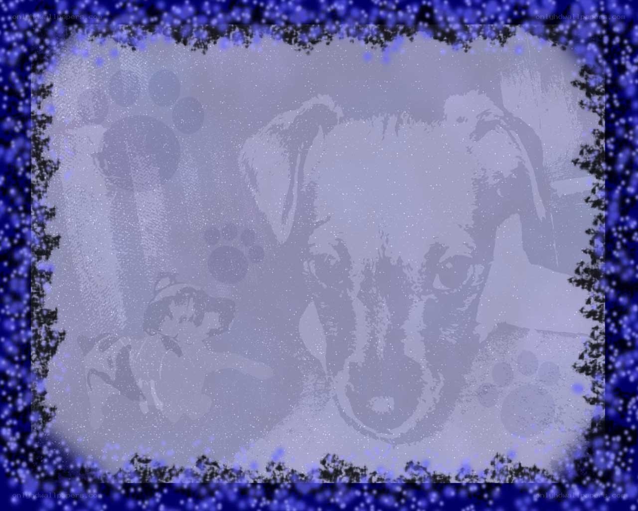 dog with paw prints background