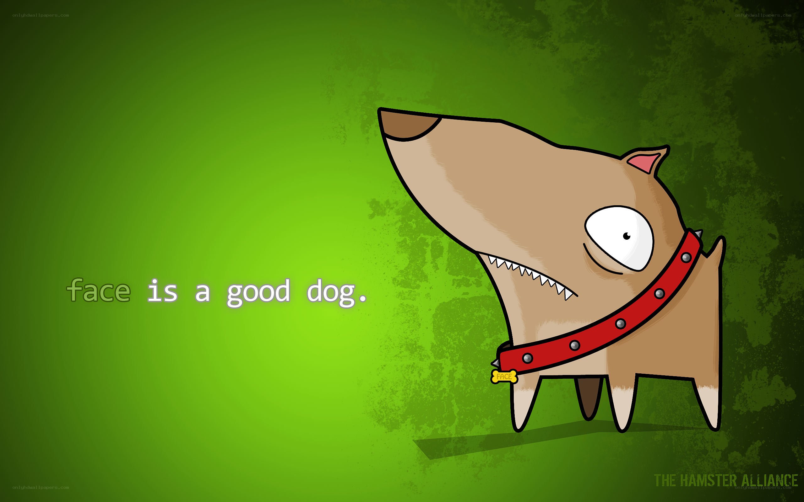 dog with red collar