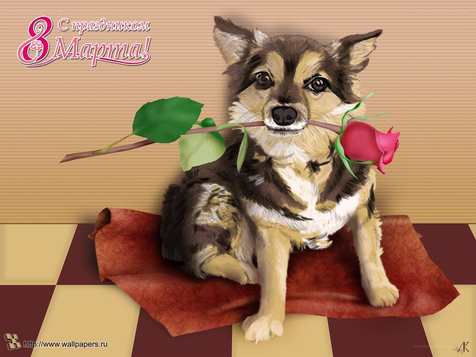 Dog with rose for March 8