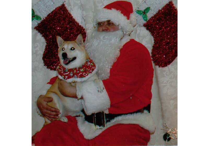 Dog with Santa Claus