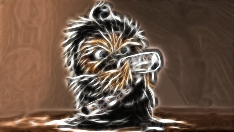 Dog with Shaggy Fur