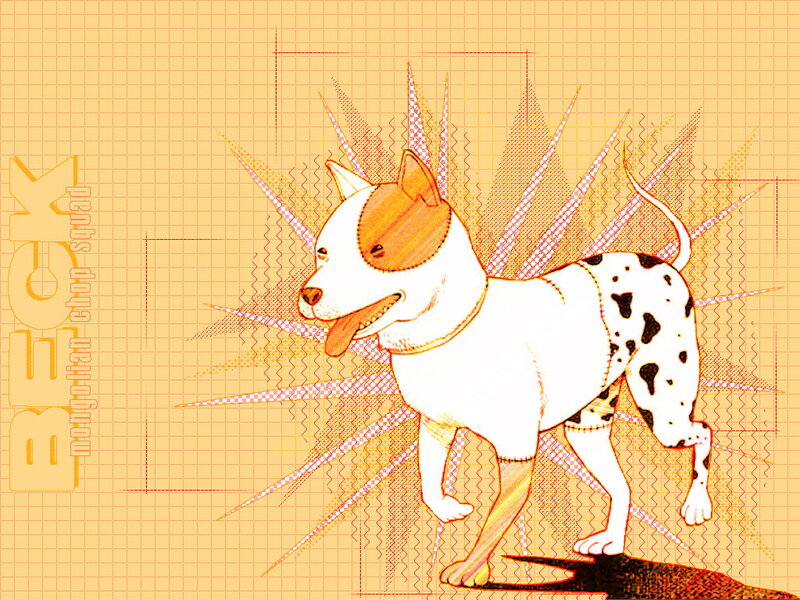 dog with sunburst background