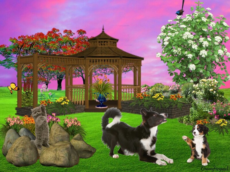 Dogs and Cat in Garden
