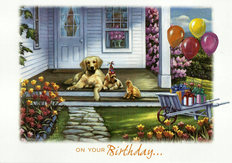 Dogs and Cat on Porch