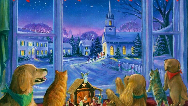 Dogs and Cats at Window