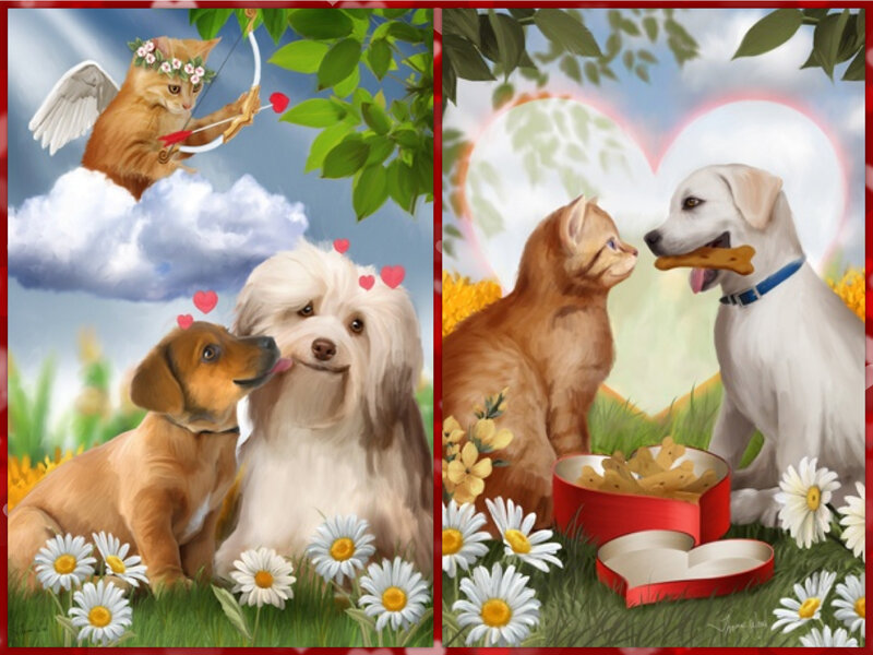 Dogs and Cats in Field