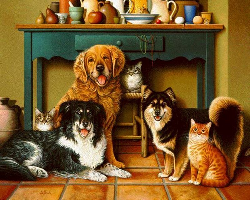 Dogs and Cats in Kitchen