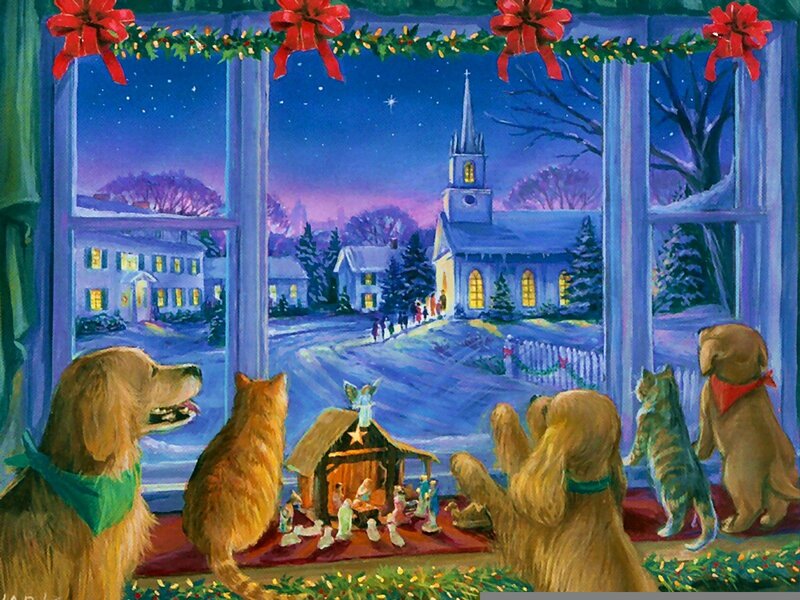 Dogs and Cats Watching Nativity