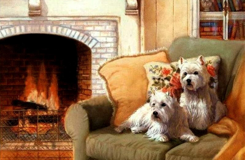 Dogs by the fireplace