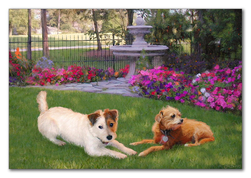 Dogs in a garden with fountain