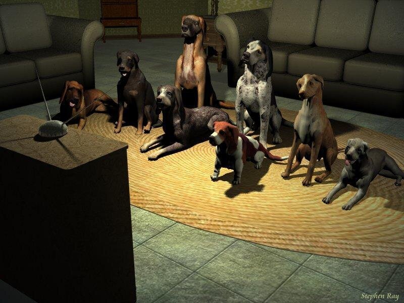 Dogs in a Living Room