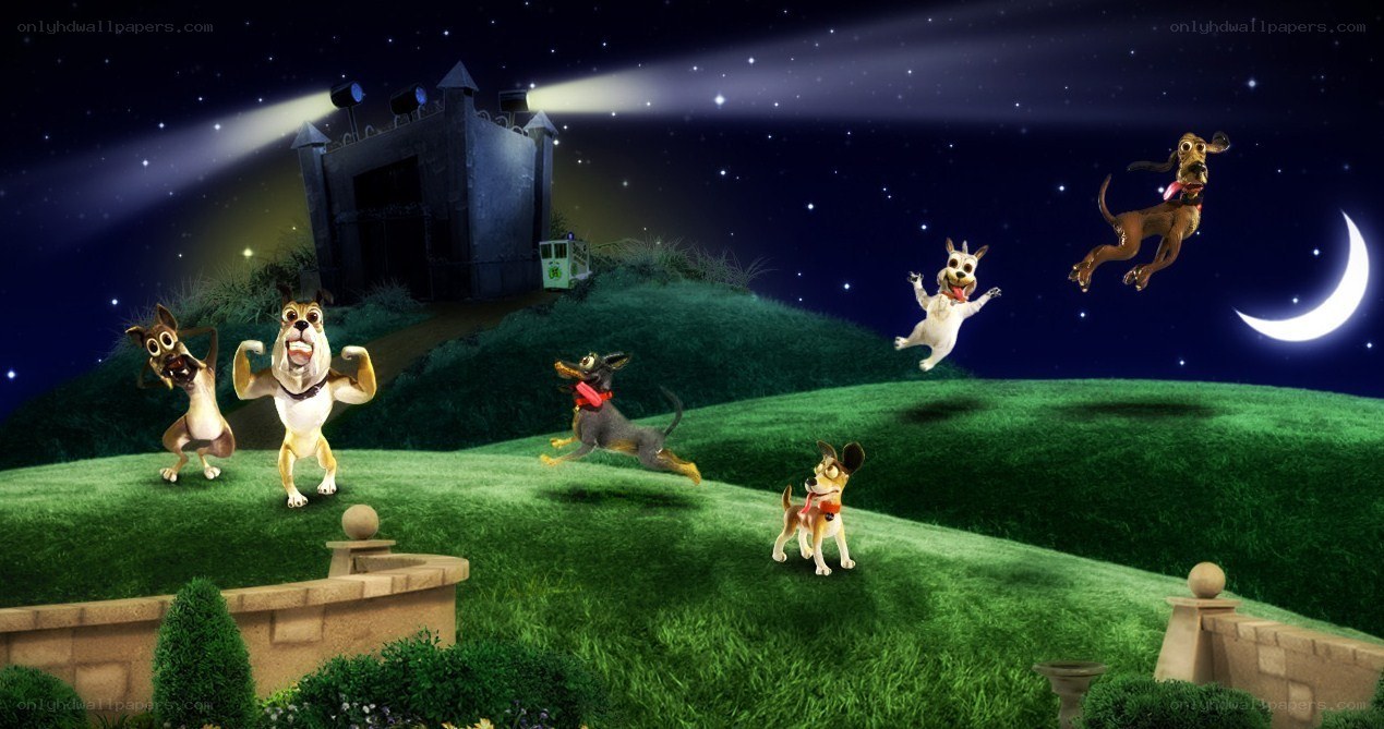 Dogs in a magical night scene